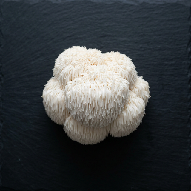 Fresh Lion's Mane Mushrooms