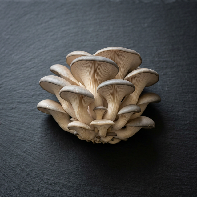 Oyster Mushrooms